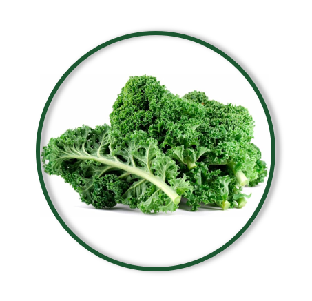 KALE (150/GR)