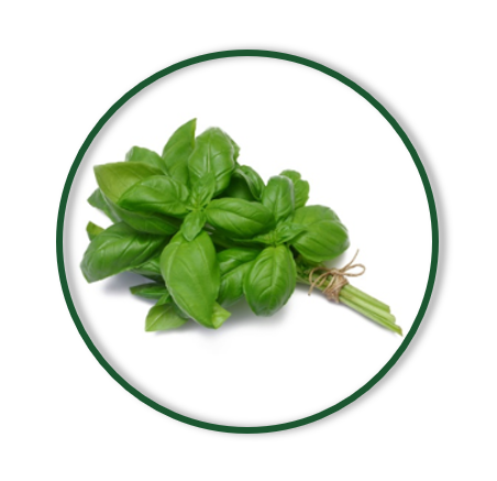 BASIL (30/GR)