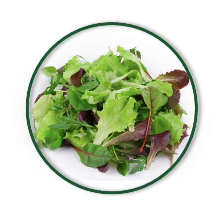 FRESH SPRING MIX  (160/GR)