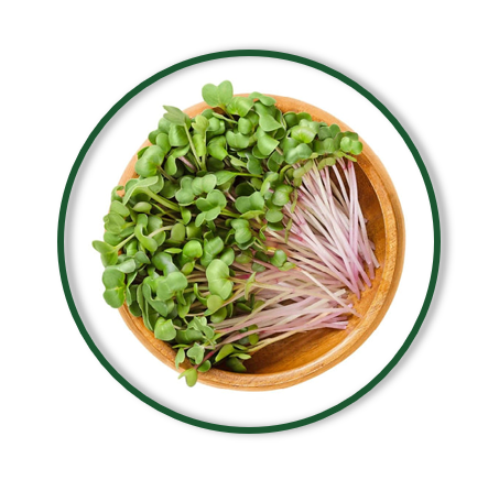 MICROGREENS MIX (30/GR)
