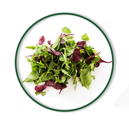 MESCLUN MIX (130/GR)