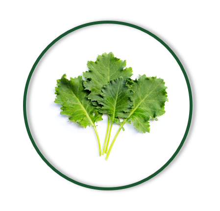 KALE MESCLUN (130/gr)