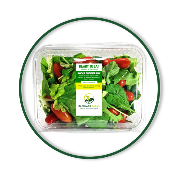 ROCCA SUMMER MIX READY TO EAT (300g)