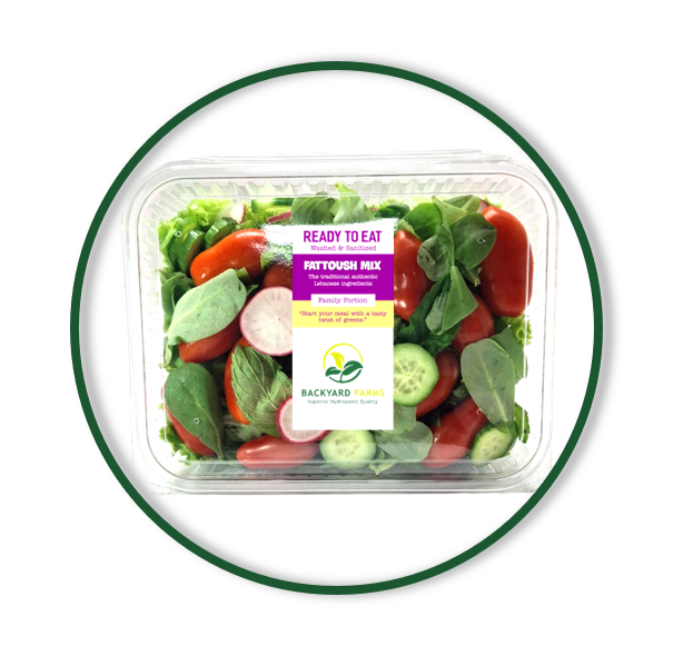 FATTOUSH MIX READY TO EAT  (500g)