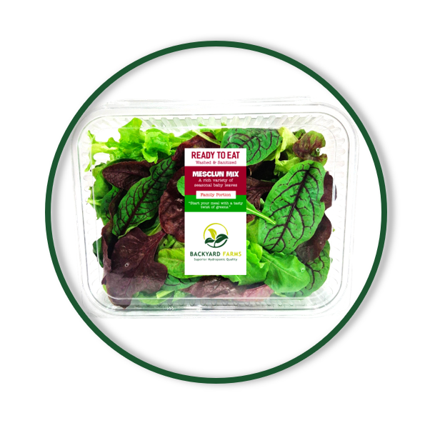 MESCLUN MIX READY TO EAT (130/GR)