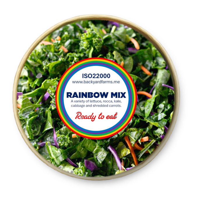 RAINBOW LETTUCE MIX READY TO EAT (160 GR)